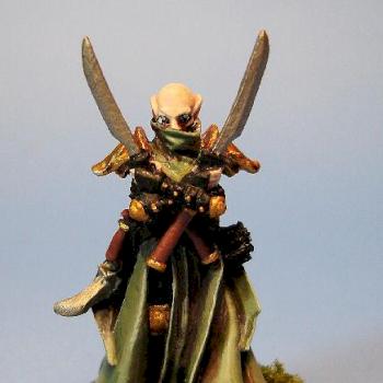 Privateer Press Retribution Of Scyrah: Narn Magehunter Solo by Shoshie