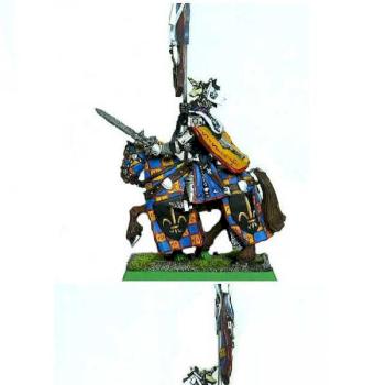 Bretonnian Battle Standard Bearer by highpaladn