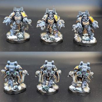 Space Wolves Aggressors Pack - Primaris by Blackmane