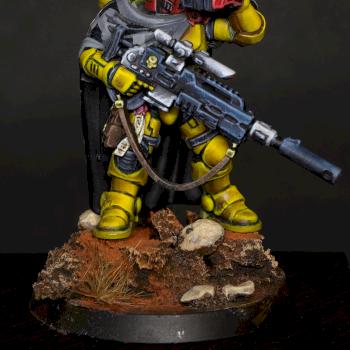 Imperial Fists Eliminator Sergeant by zwings