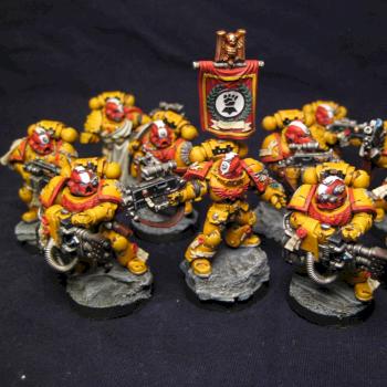 Imperial Fists Sternguard Veterans by pacmanman