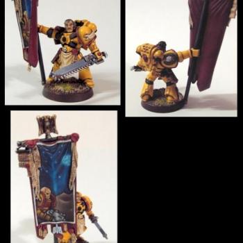 Imperial Fists Standartbearer by TarAldarion