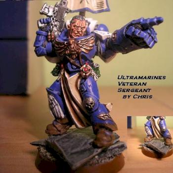 spacemarine veteran by cassius war veteran