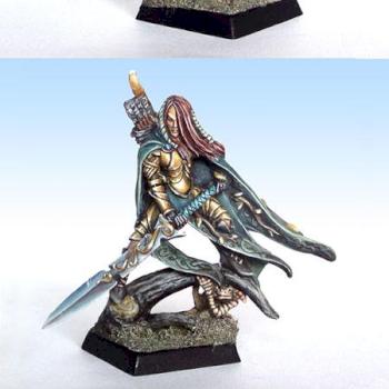 Wood Elf Highborn Lord by Ana