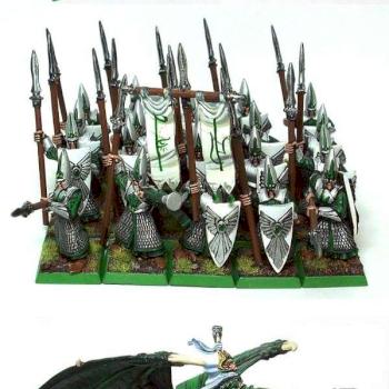 High Elf Army by highpaladn