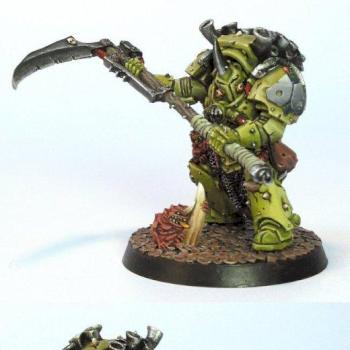 Typhus by Day