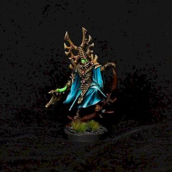 Eldar Spell Singer by warhamsterpainting