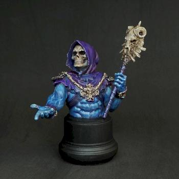 (not) Skeletor by Joek