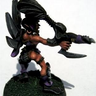 Dark Eldar Wyche by cookster