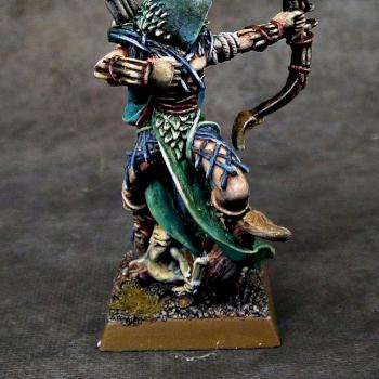 Wood Elves Waywatcher Lord by Awaken Realms