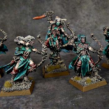 Wood Elves Waywatchers by Awaken Realms