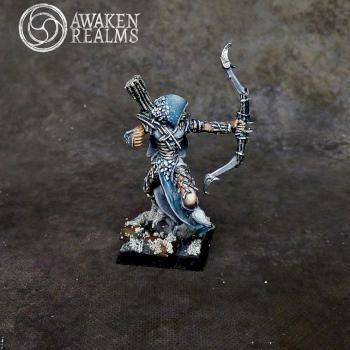 Wood Elves Waywatcher Lord by Awaken Realms