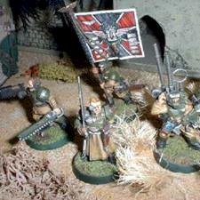 Imperial Guard Command, Cadian by kettilman