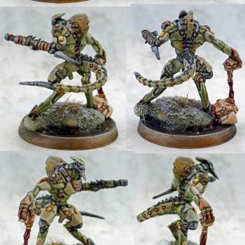 Skiavoros, Combined Army by singularity