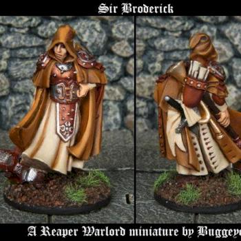 14050: Sir Broderick by Buggeye