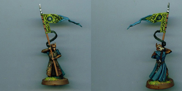 Wood Elf Standerd Bearer by Demon Hunter