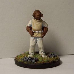 Admiral Ackbar by shug