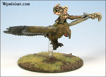 Wood Elf Mage on warhawk by funkyyuzzam