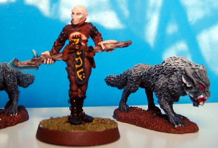 Reaper Wizard and Wolf by Oldskool