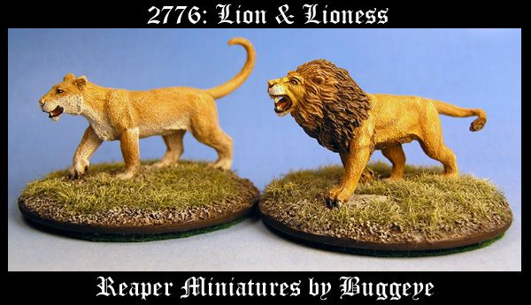 2776: Lion & Lioness by Buggeye