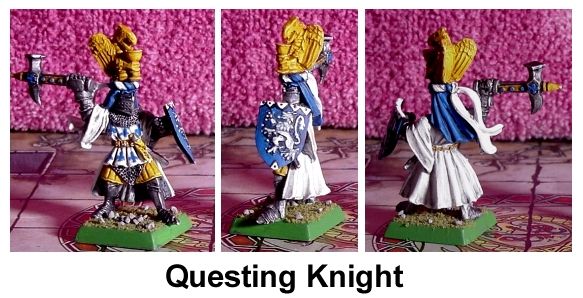 Questing Knight by cardheros6wo6