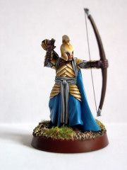 Re-post of LOTR Elf by CtanSupportGroup