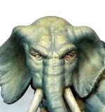 Tembo by Jyrio Delavida - face close-up.jpeg