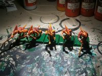 skinks5sotek-1.jpg