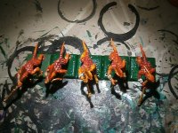 skinks5sotek-2.jpg